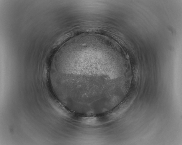 X0000112010266200908031313