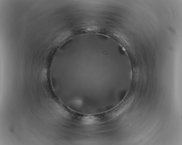 X0000112010269200908031313