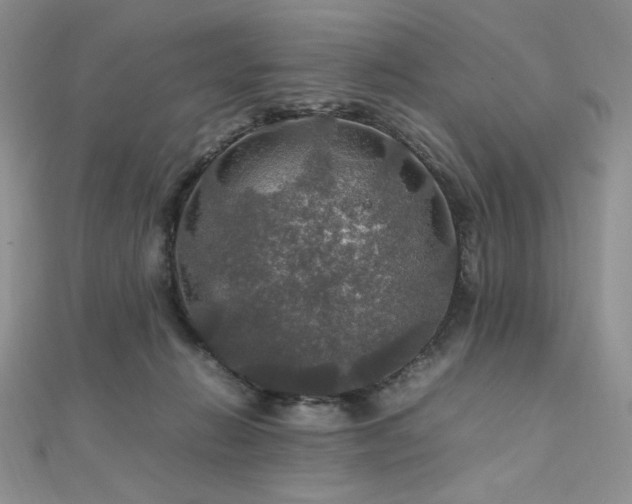 X0000112010270200908031313