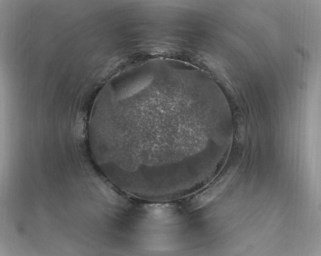 X0000112010273200908031313