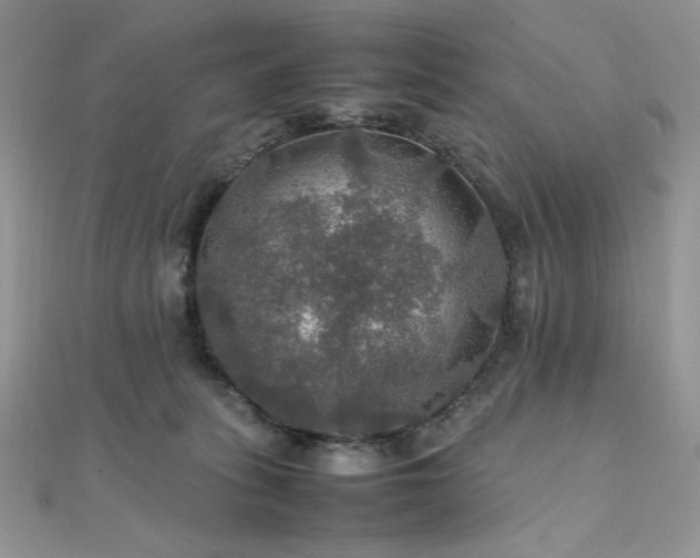 X0000112010275200908031313