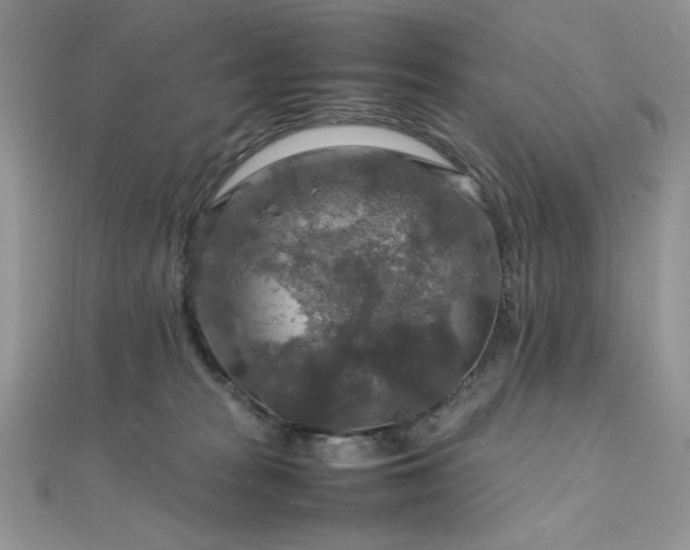 X0000112010277200908031313