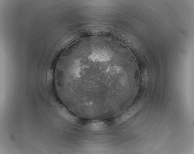 X0000112010278200908031313