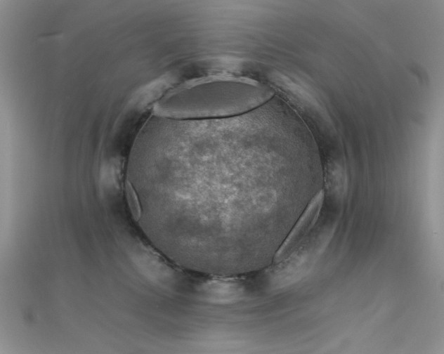 X0000112010280200908031313