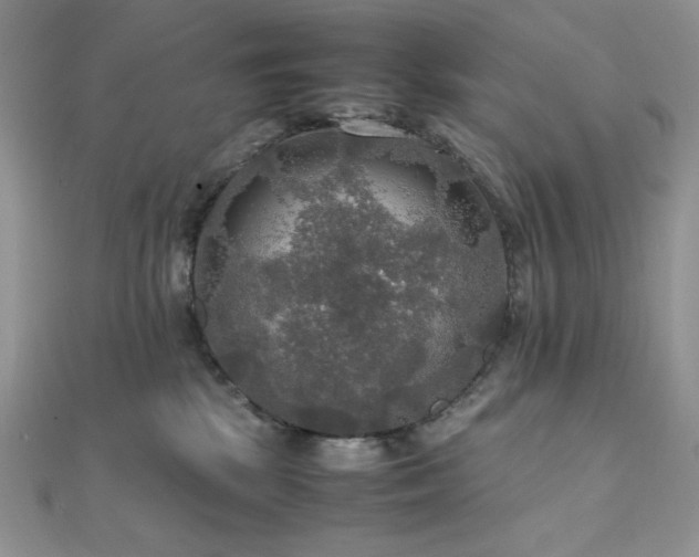 X0000112010281200908031313