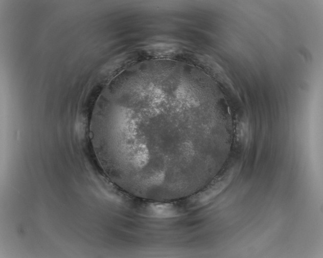 X0000112010283200908031313