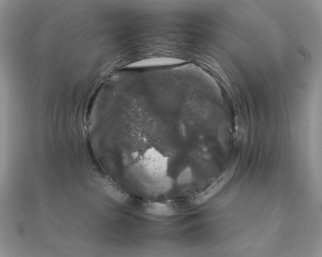 X0000112010285200908031313