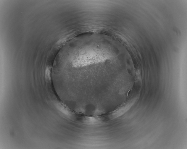 X0000112010286200908031313