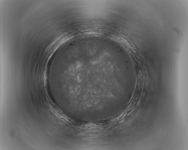 X0000112010290200908031312