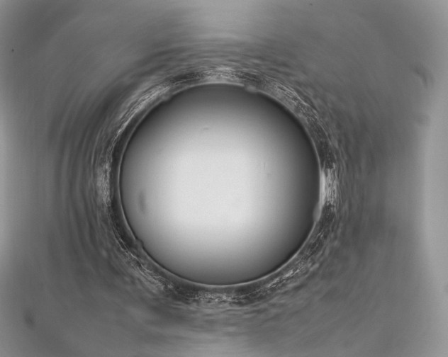 X0000112010291200908031312