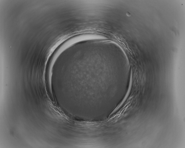 X0000112010292200908031312