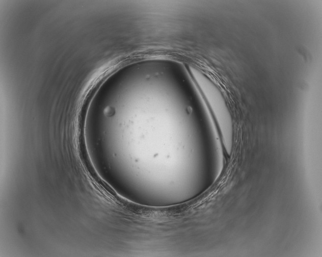 X0000112010293200908031312