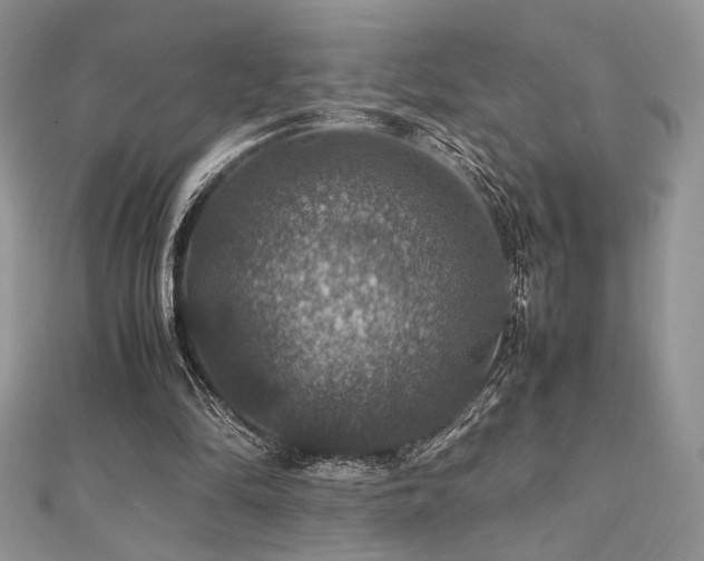 X0000112010294200908031312