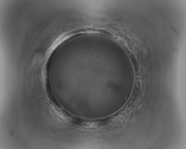 X0000112010295200908031312