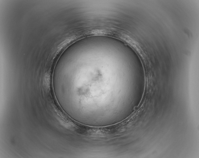 X0000112010297200908031312