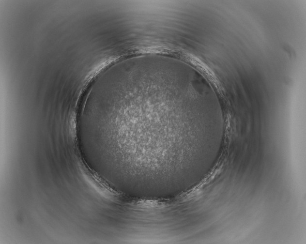 X0000112010298200908031312