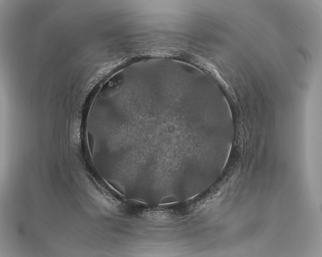 X0000112010299200908031312