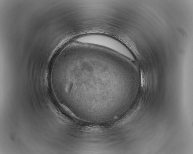 X0000112010300200908031312