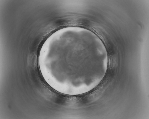 X0000112010301200908031312