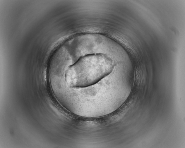 X0000112010302200908031312