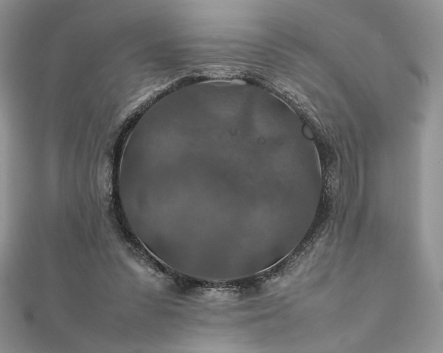 X0000112010303200908031312