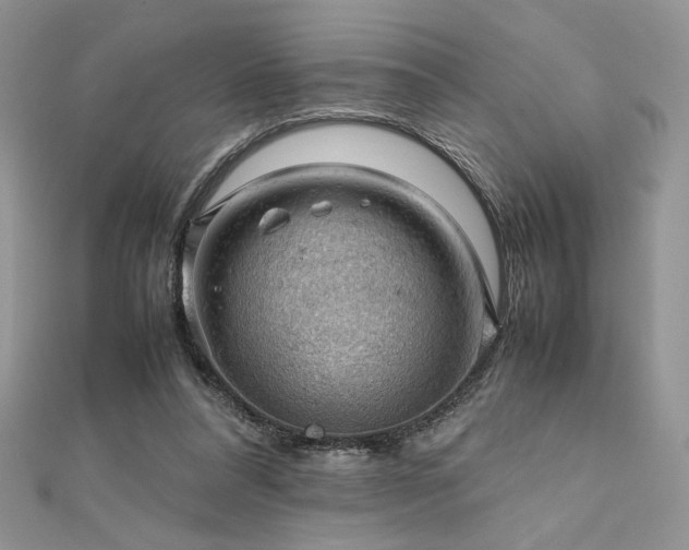 X0000112010304200908031312