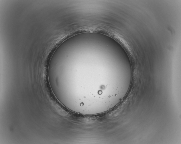 X0000112010305200908031312