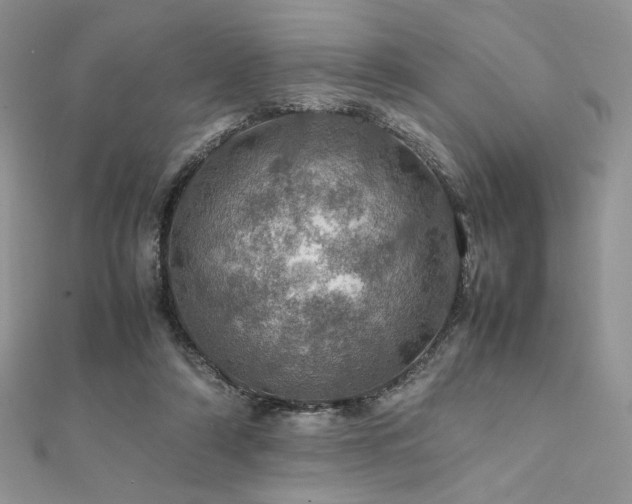 X0000112010306200908031312