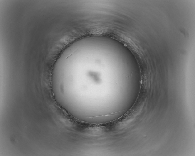 X0000112010307200908031312