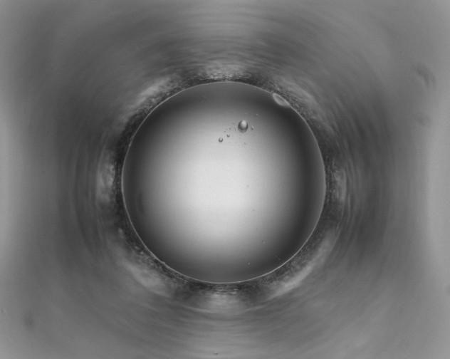 X0000112010308200908031312