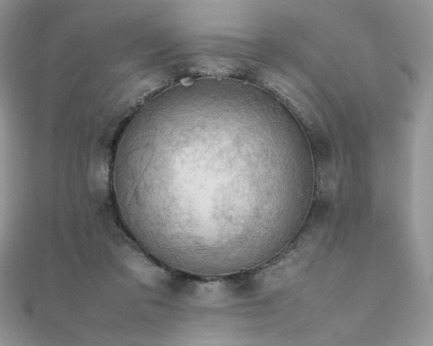 X0000112010309200908031312