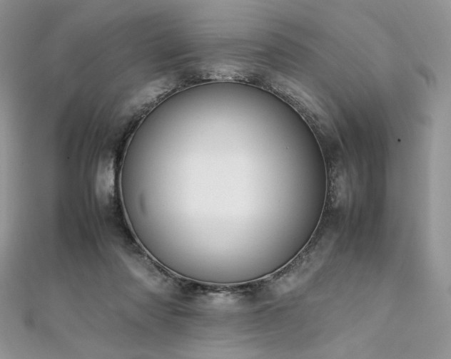 X0000112010310200908031312