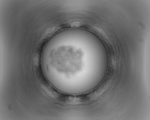 X0000112010311200908031312