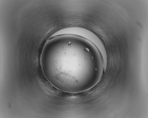 X0000112010312200908031312