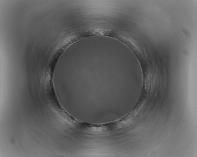 X0000112010314200908031312