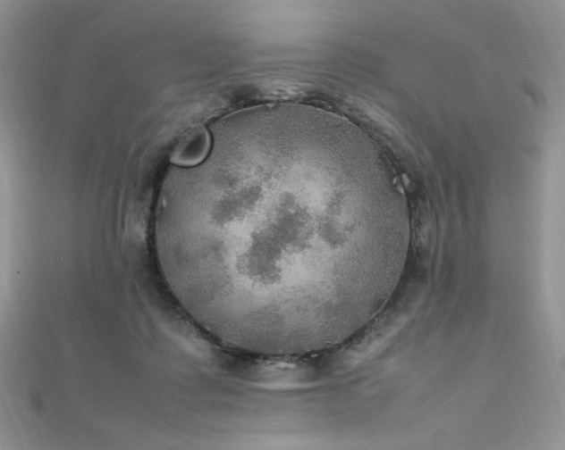 X0000112010315200908031312