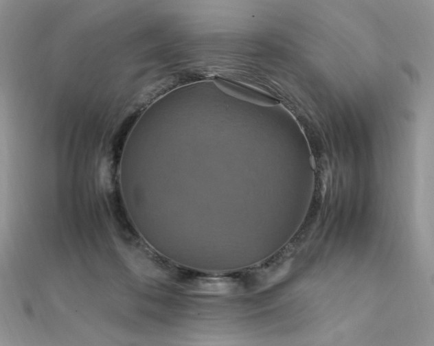 X0000112010316200908031312