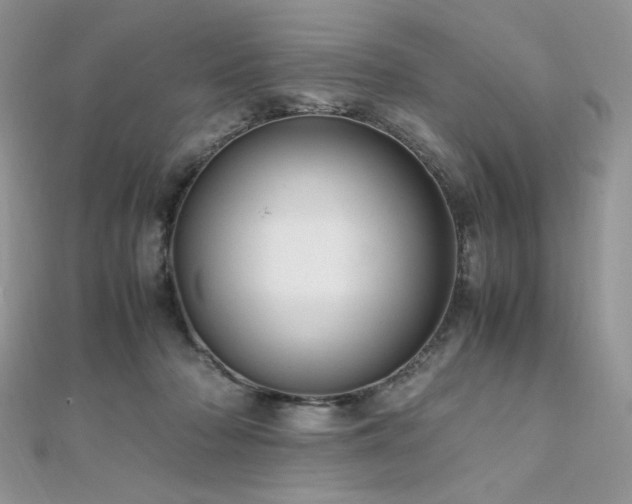 X0000112010318200908031312