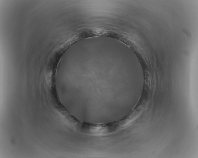 X0000112010319200908031312