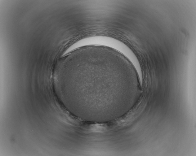 X0000112010320200908031312