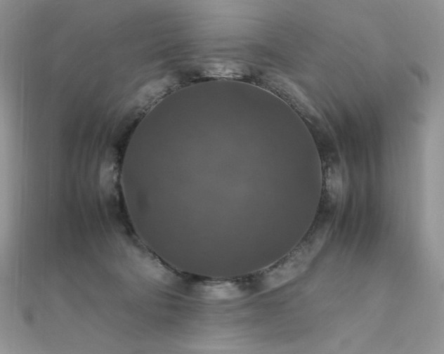 X0000112010322200908031312