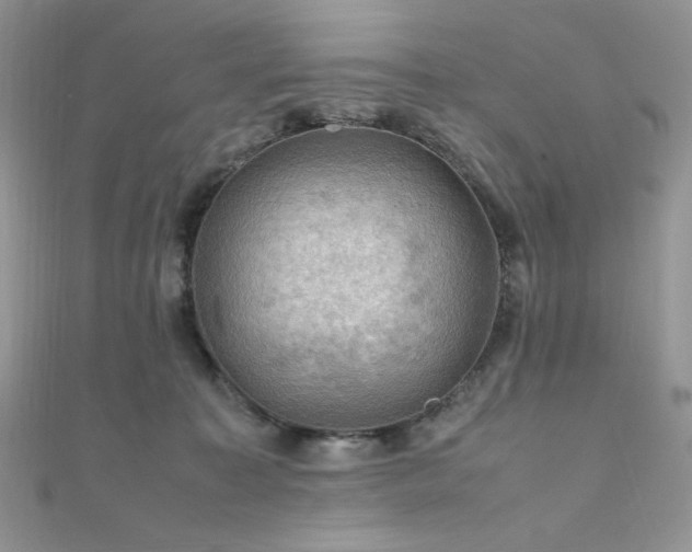 X0000112010323200908031312