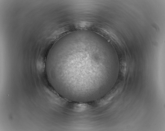 X0000112010324200908031312