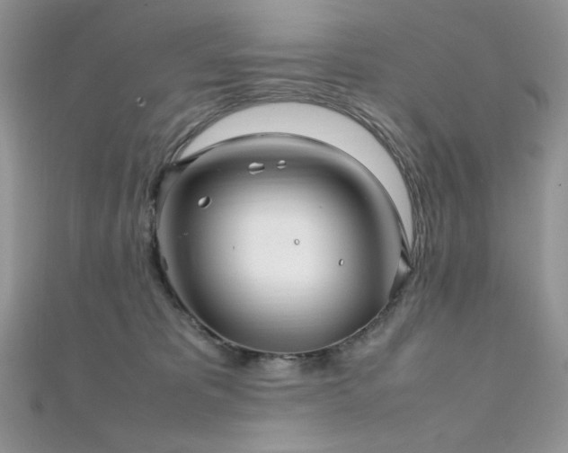 X0000112010325200908031312