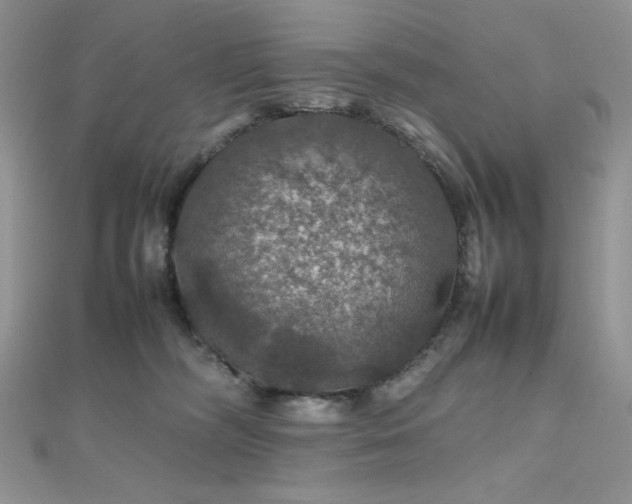 X0000112010326200908031312