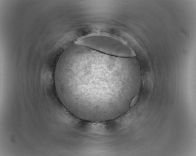 X0000112010327200908031312