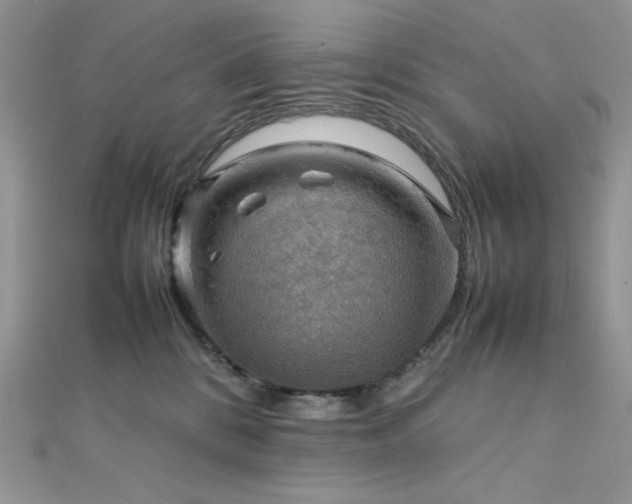 X0000112010328200908031312