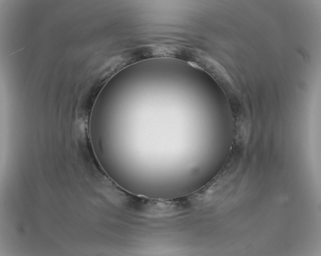 X0000112010329200908031312