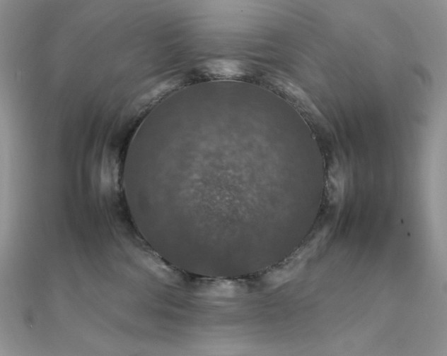 X0000112010330200908031312