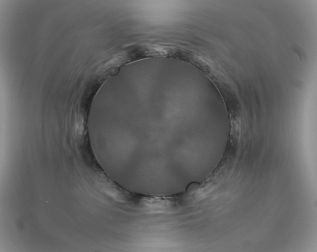 X0000112010331200908031312